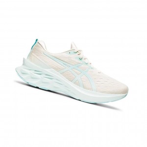 Dámské Běžecké Boty Asics NOVABLAST 2 Blankyt | 7043-ONXZU