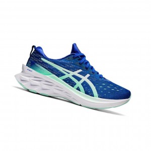 Dámské Běžecké Boty Asics NOVABLAST 2 Blankyt | 3148-RIPMT