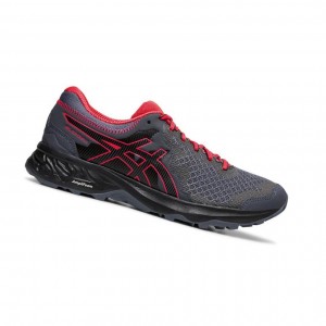 Dámské Trailové Běžecké Boty Asics GEL-SONOMA 4 Šedé | 3864-PYZEI