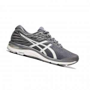 Pánské Běžecké Boty Asics GEL-CUMULUS 21 road Šedé | 6835-NLQAI