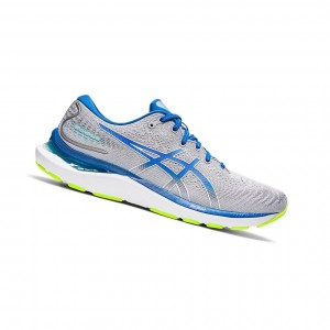 Pánské Běžecké Boty Asics GEL-CUMULUS 24 Sheet Rock / Lake Drive | 1240-PKETD