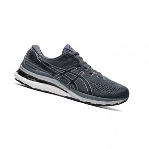 Pánské Běžecké Boty Asics GEL-KAYANO 28 Extra Široké Šedé | 4902-YDOBZ