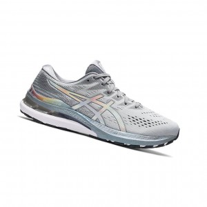 Pánské Běžecké Boty Asics GEL-KAYANO 28 Šedé | 7849-CEQHP