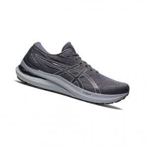 Pánské Běžecké Boty Asics GEL-KAYANO 29 (4E) Bílé | 0526-VUQAJ