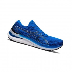 Pánské Běžecké Boty Asics GEL-KAYANO 29 Blankyt Bílé | 1390-YLPDU