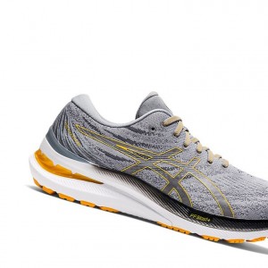 Pánské Běžecké Boty Asics GEL-KAYANO 29 Sheet Rock / Amber | 4581-BYUTR