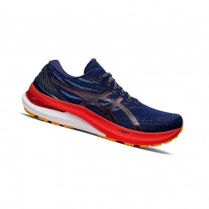 Pánské Běžecké Boty Asics GEL-KAYANO 29 Tmavě | 2438-HDLWQ