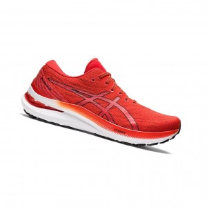 Pánské Běžecké Boty Asics GEL-KAYANO 29 Černé | 5472-FMJCI