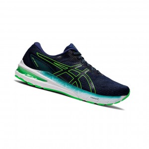 Pánské Běžecké Boty Asics GT-2000 10 (2E) Tmavě | 3419-BOPVK