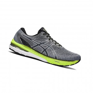 Pánské Běžecké Boty Asics GT-2000 10 (2E) Šedé Bílé | 5716-LZFOC