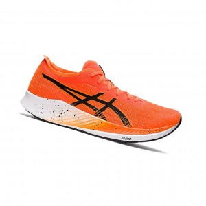 Pánské Běžecké Boty Asics MAGIC SPEED Oranžové Černé | 8174-VAUPI