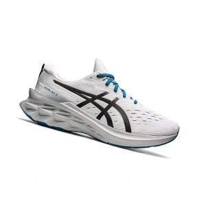 Pánské Běžecké Boty Asics NOVABLAST 2 Bílé | 9705-ECZGA