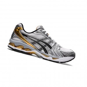 Pánské Tenisky Asics GEL-KAYANO 14 Bílé | 0843-AGTUZ