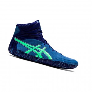 Pánské Wrestlingová Obuv Asics AGGRESSOR 5 Blankyt | 8016-LQHAC