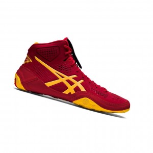 Pánské Wrestlingová Obuv Asics DAN GABLE EVO 2 Cranberry / Saffron | 2986-GBDIW