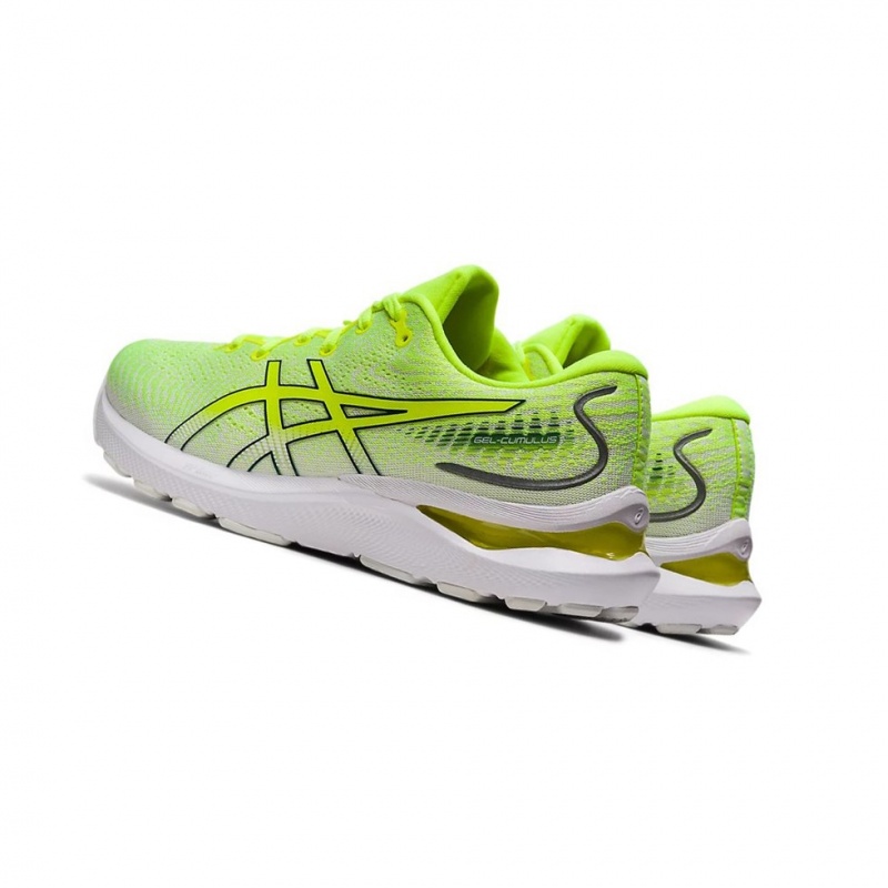 Dámské Běžecké Boty Asics GEL-CUMULUS 24 Žluté | 7420-VLNWM