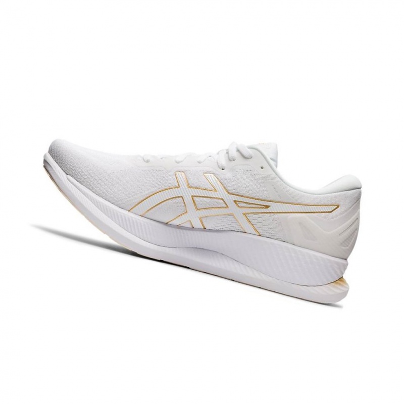 Pánské Běžecké Boty Asics GLIDERIDE Bílé | 8072-WUYGQ