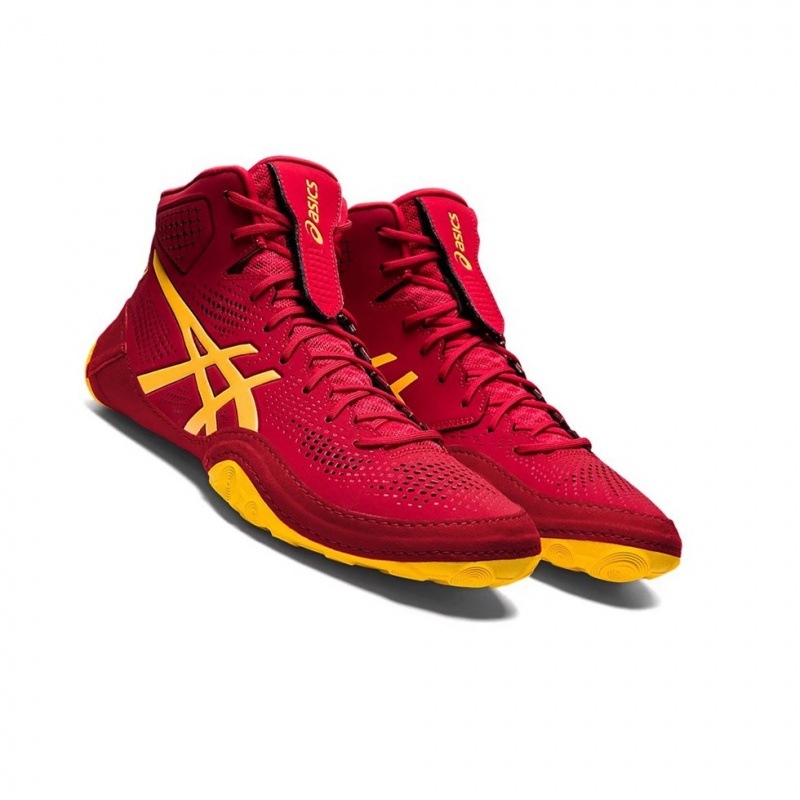 Pánské Wrestlingová Obuv Asics DAN GABLE EVO 2 Cranberry / Saffron | 2986-GBDIW