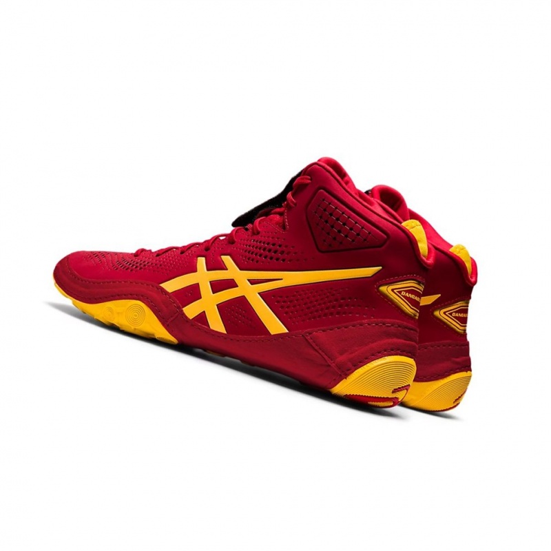 Pánské Wrestlingová Obuv Asics DAN GABLE EVO 2 Cranberry / Saffron | 2986-GBDIW