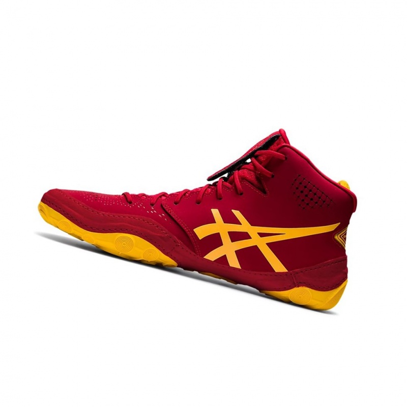 Pánské Wrestlingová Obuv Asics DAN GABLE EVO 2 Cranberry / Saffron | 2986-GBDIW