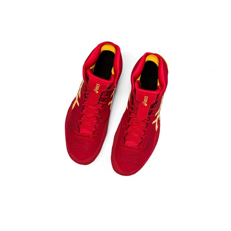 Pánské Wrestlingová Obuv Asics DAN GABLE EVO 2 Cranberry / Saffron | 2986-GBDIW